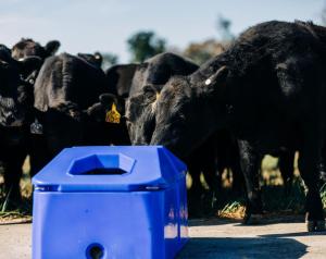 livestock-waterer3